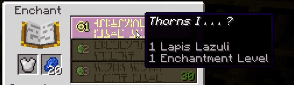 Thorns Minecraft Enchantment