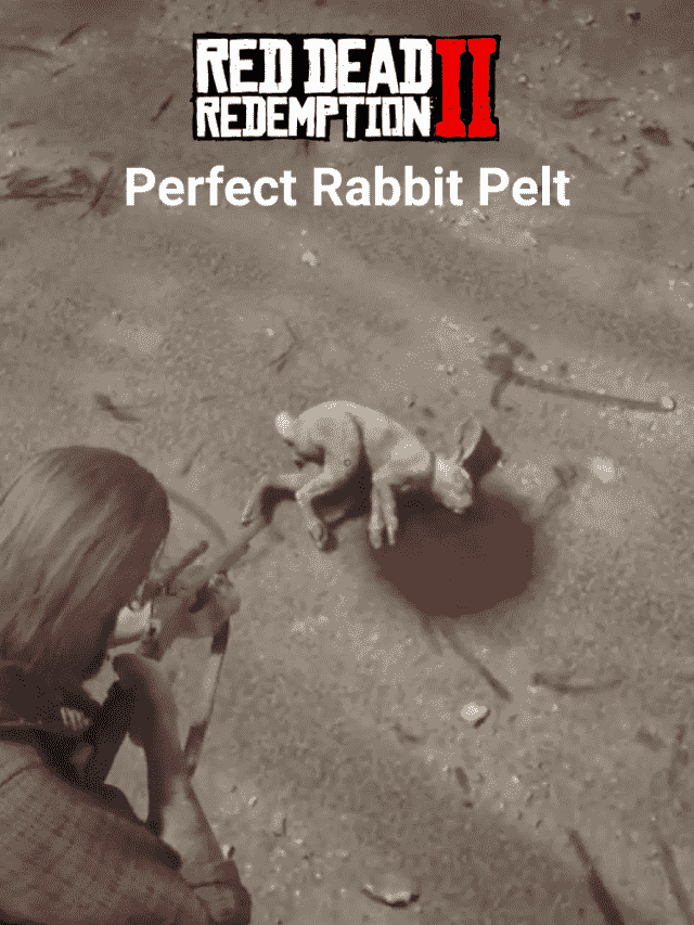 Hunt Perfect Rabbit Pelts in RDR2