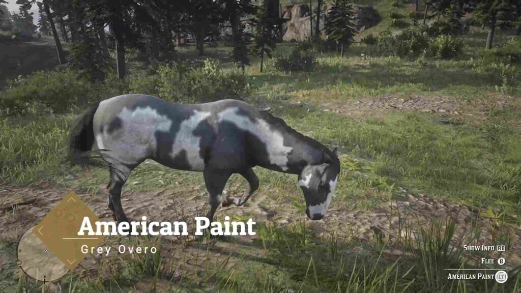 Red Dead Redemption 2 Horses American Paint