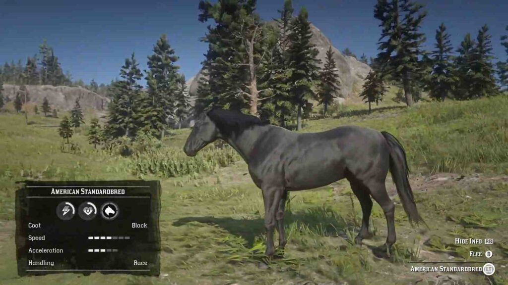 Red Dead Redemption 2 Horses American Standardbred