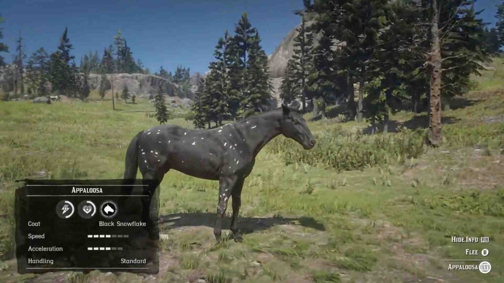 Red Dead Redemption 2 Horses Appaloosa