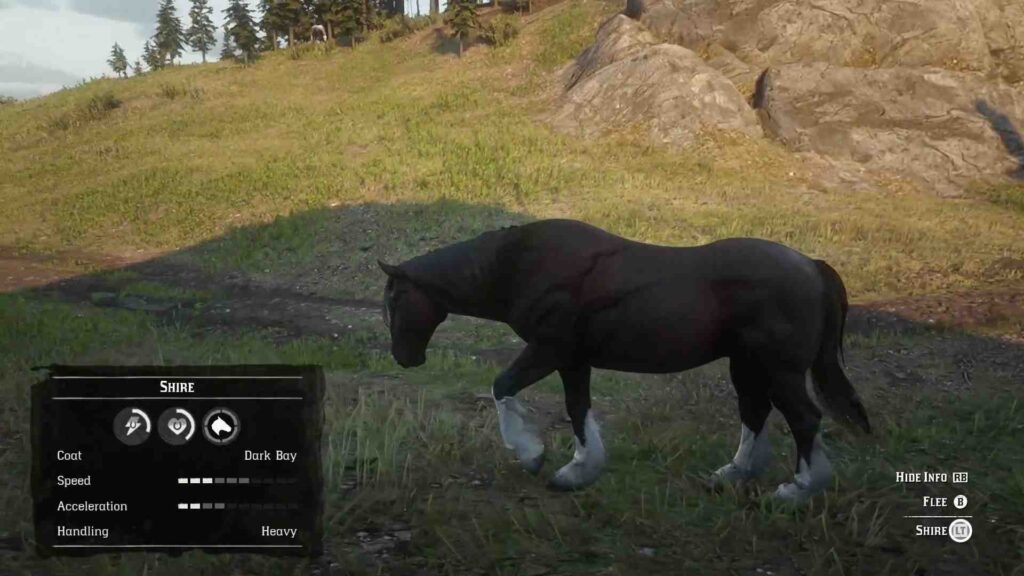 Red Dead Redemption 2 Horses Shire