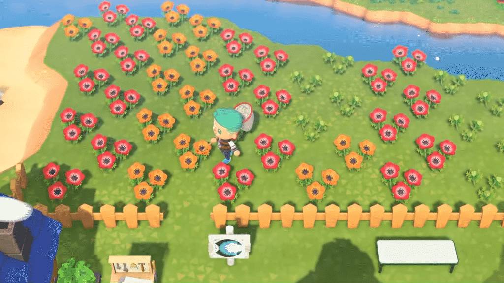 Grow Flowers in Animal Crossing
