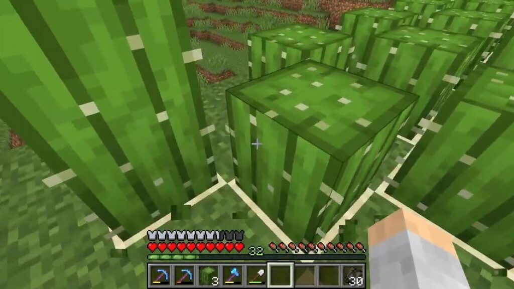 Green Dye Using Cactus in Minecraft