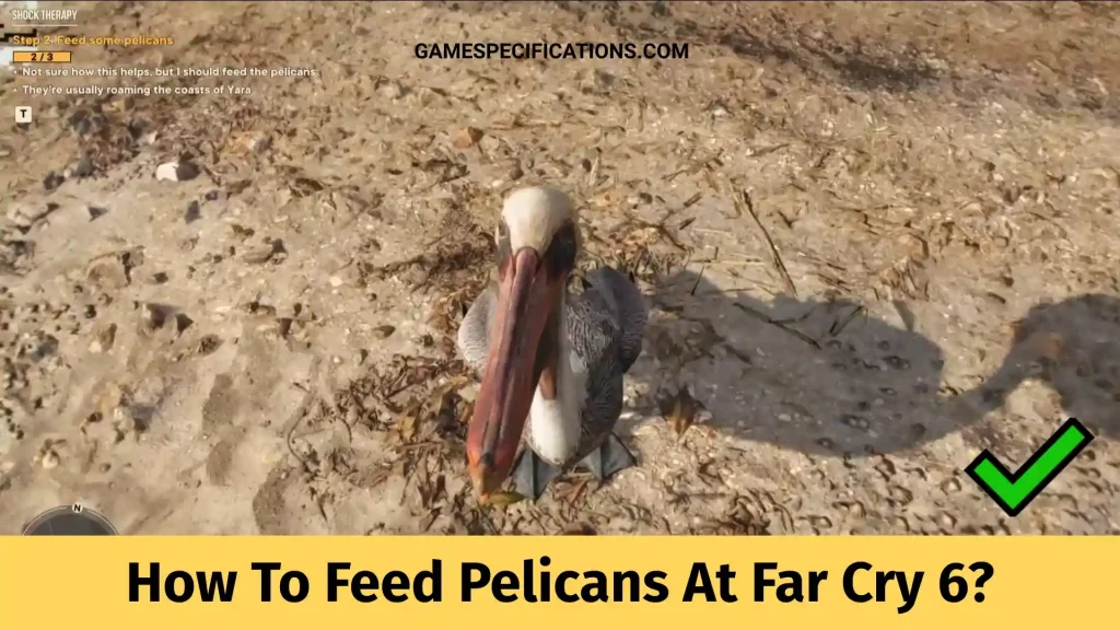 How To Feed Pelicans At Far Cry 6