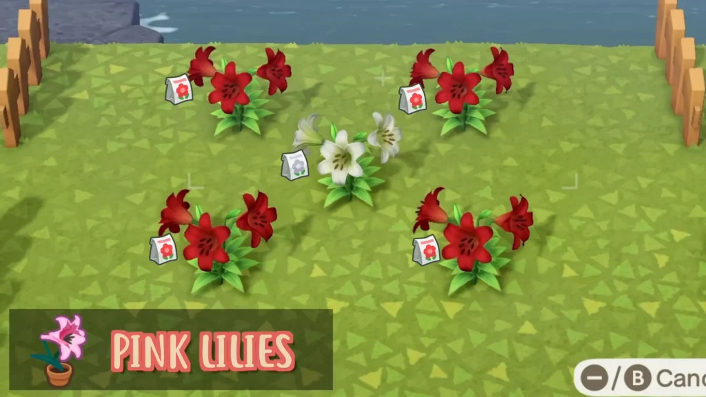 Lily Hybrid Flowers in Animal Crossing