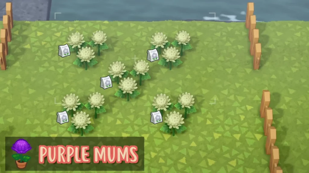 Mums Hybrid Flowers in Animal Crossing