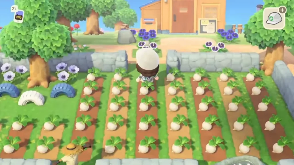 Burying Turnips in Animal Crossing