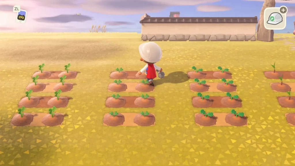 Growing Vegetable Seeds In Animal Crossing