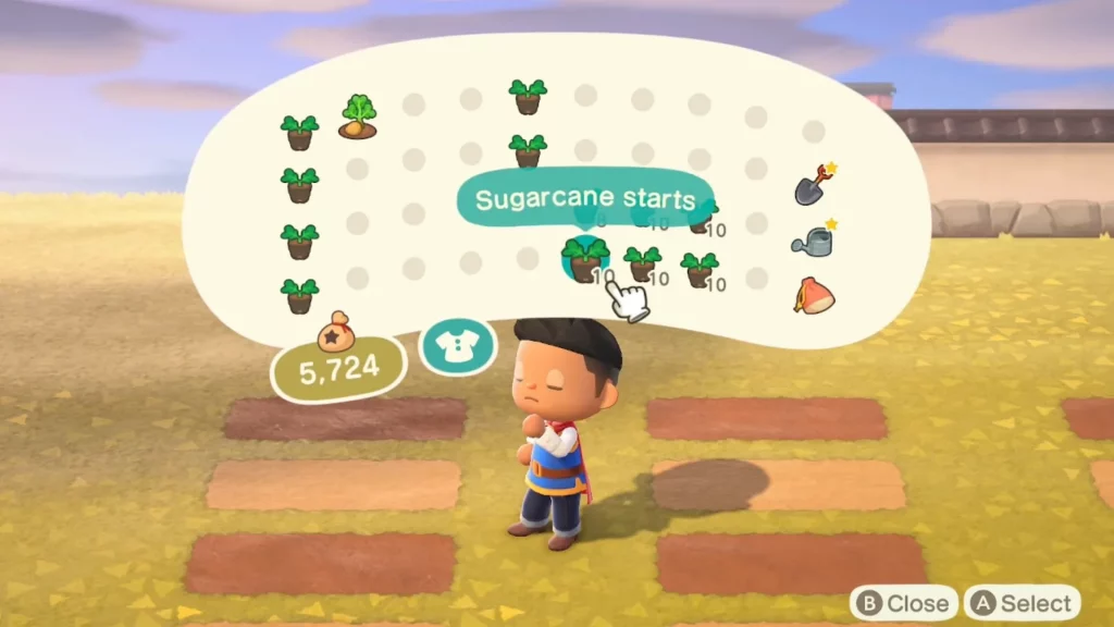 Panting Vegetable Seeds In Animal Crossing