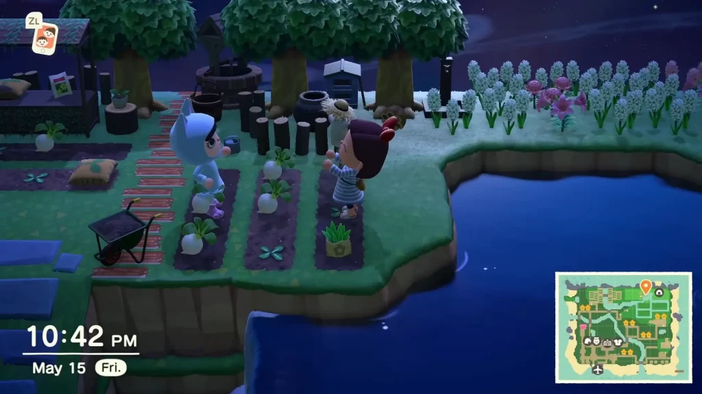 Turnips Field in Animal Crossing