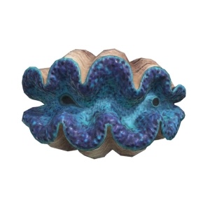Animal Crossing Gigas Giant Clam