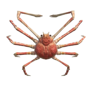 Animal Crossing Spider Crab
