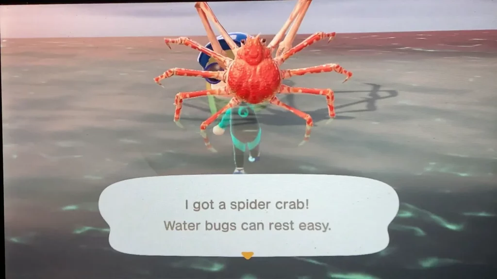 Catch Spider Crab
