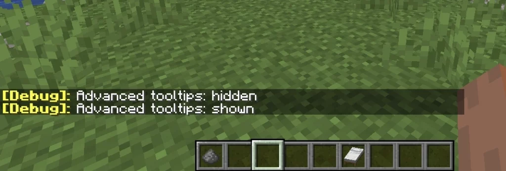 Debug Tooltips Option in minecraft