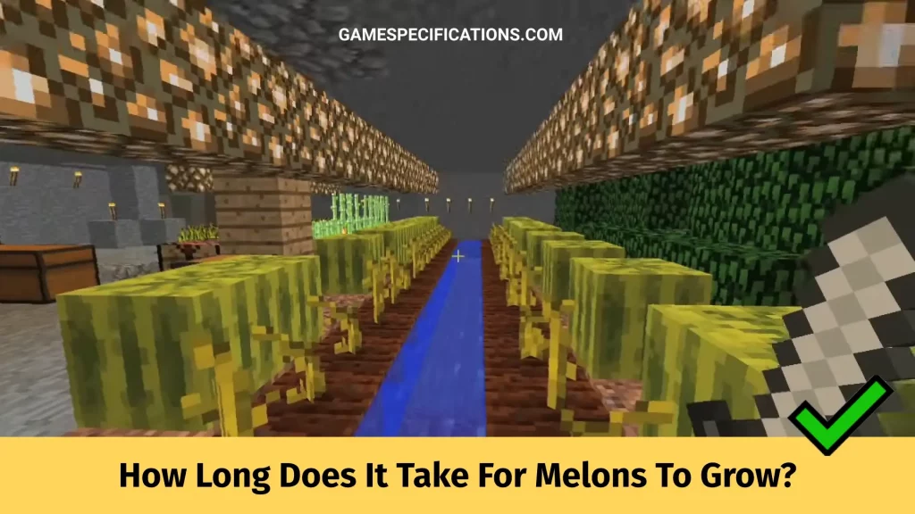 How Long Does It Take For Melons To Grow In Minecraft