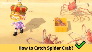 How to Catch Spider Crab in Animal Crossing