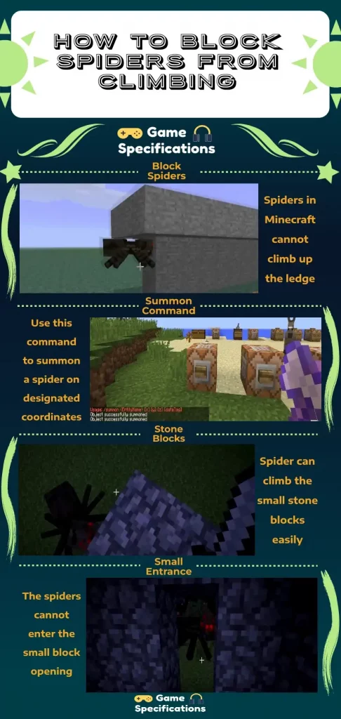 How to Block Spiders from Climbing