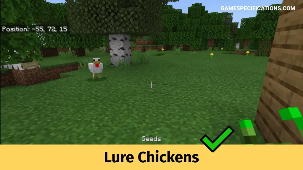 Lure chickens