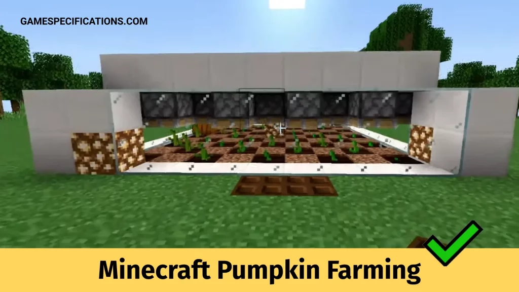 Minecraft Pumpkin Farming