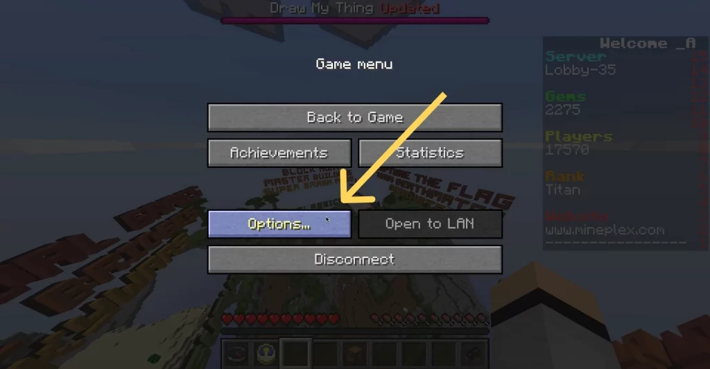 Options in Minecraft