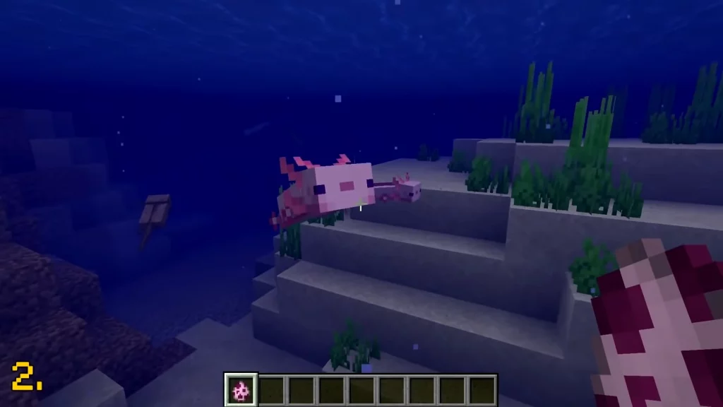 axolotls in minecraft