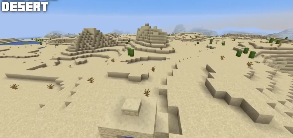 desert biome in Minecraft